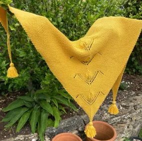 Campfire Shawl Kit