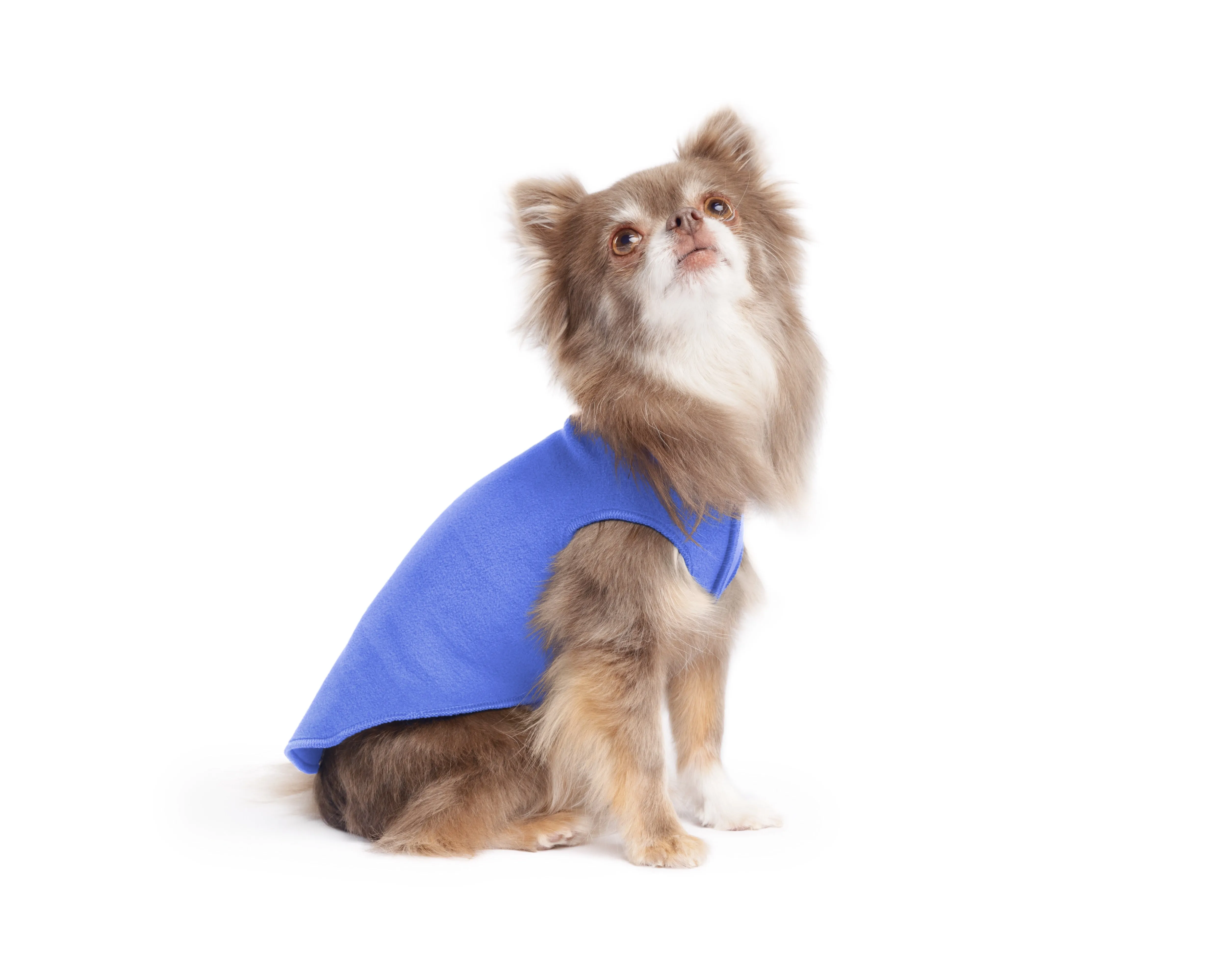 cornflower blue stretch fleece