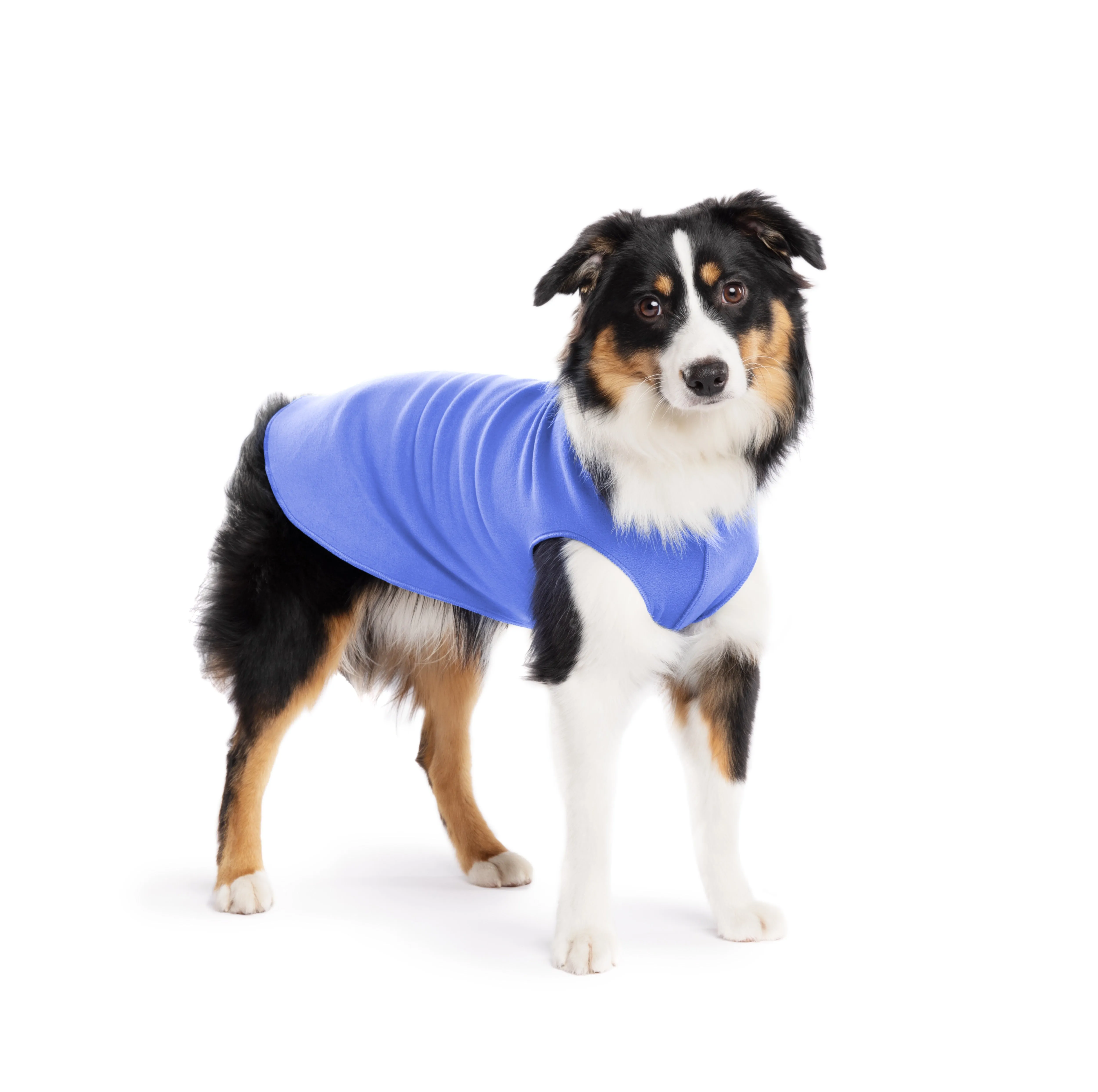 cornflower blue stretch fleece