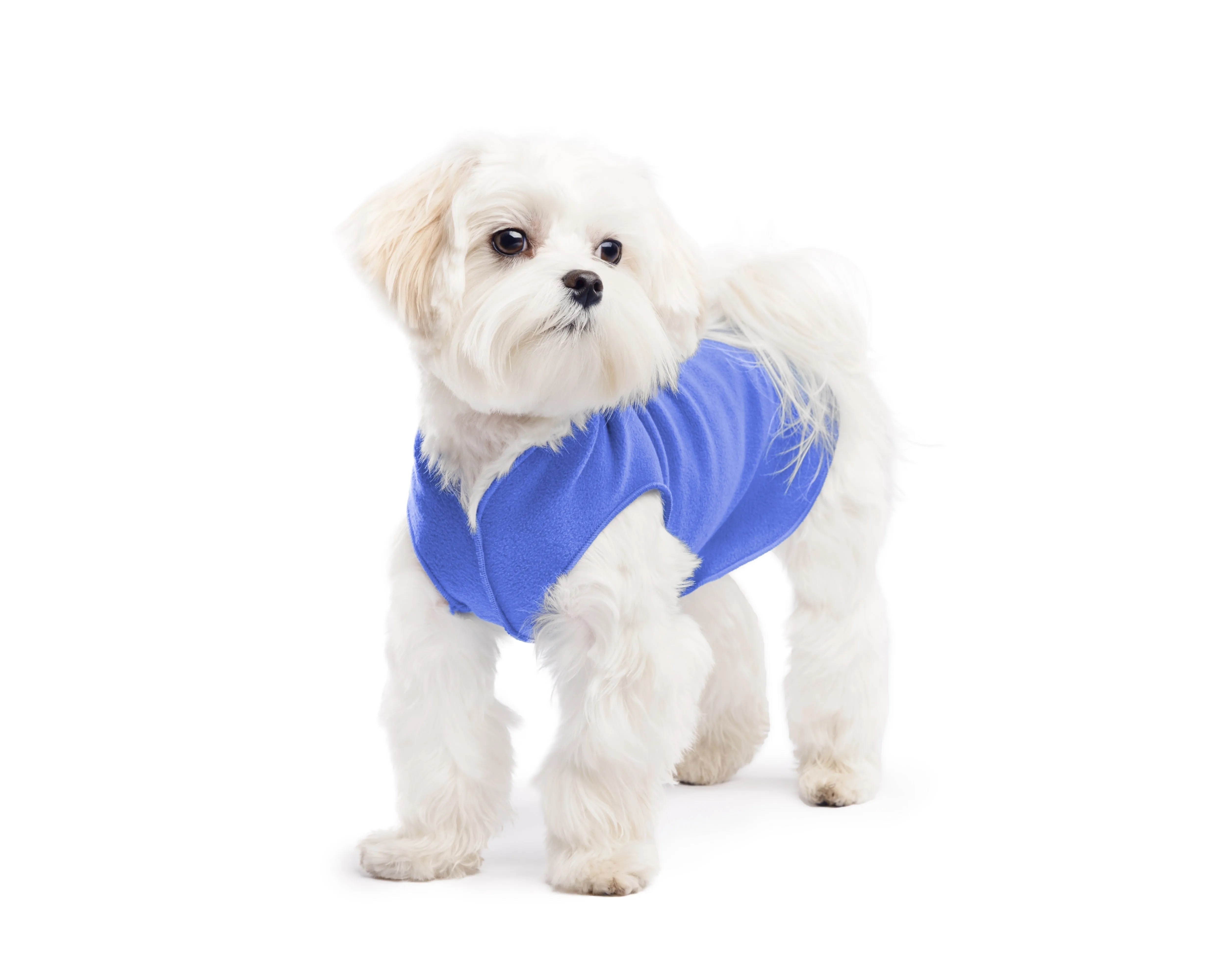 cornflower blue stretch fleece