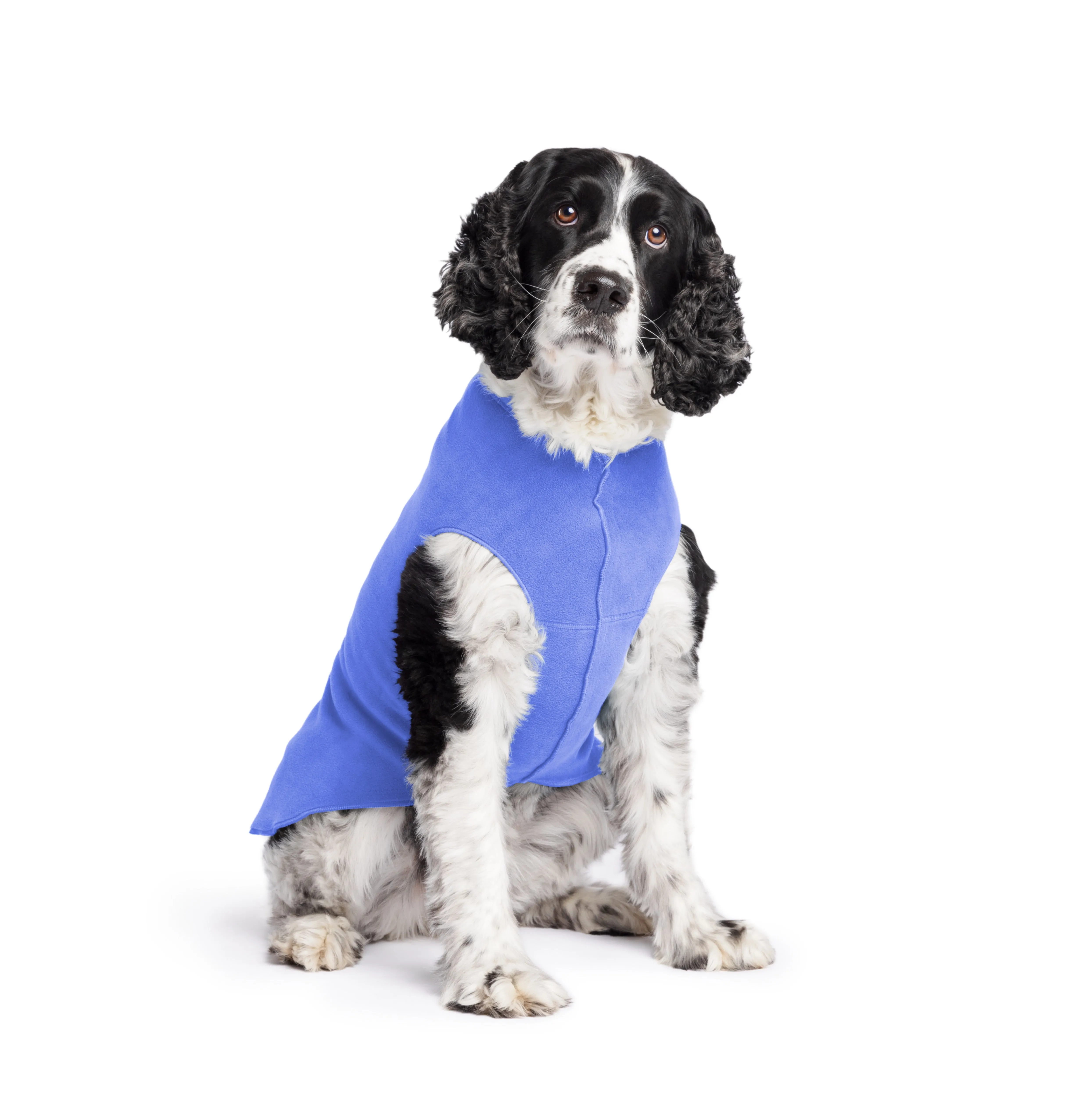 cornflower blue stretch fleece