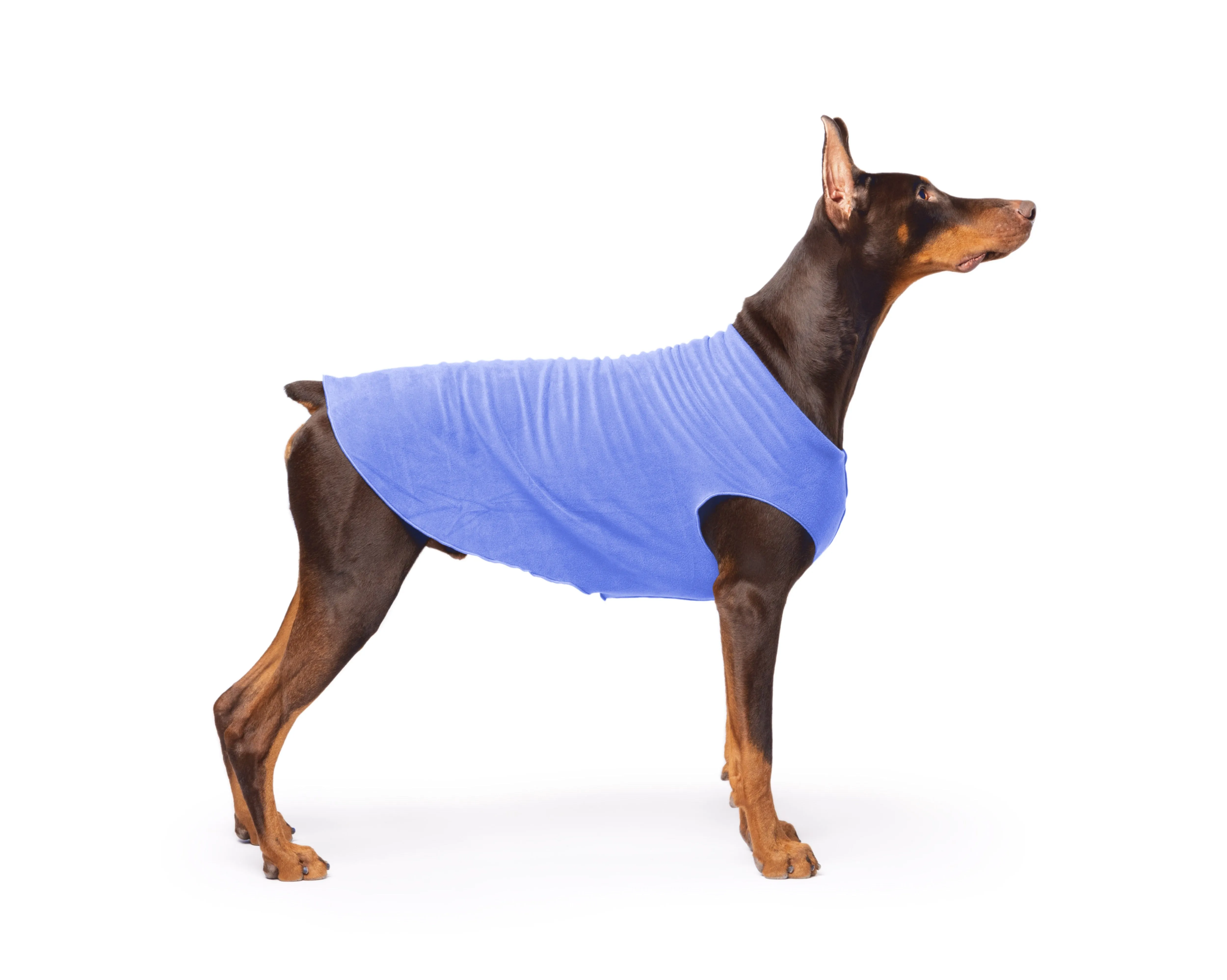 cornflower blue stretch fleece