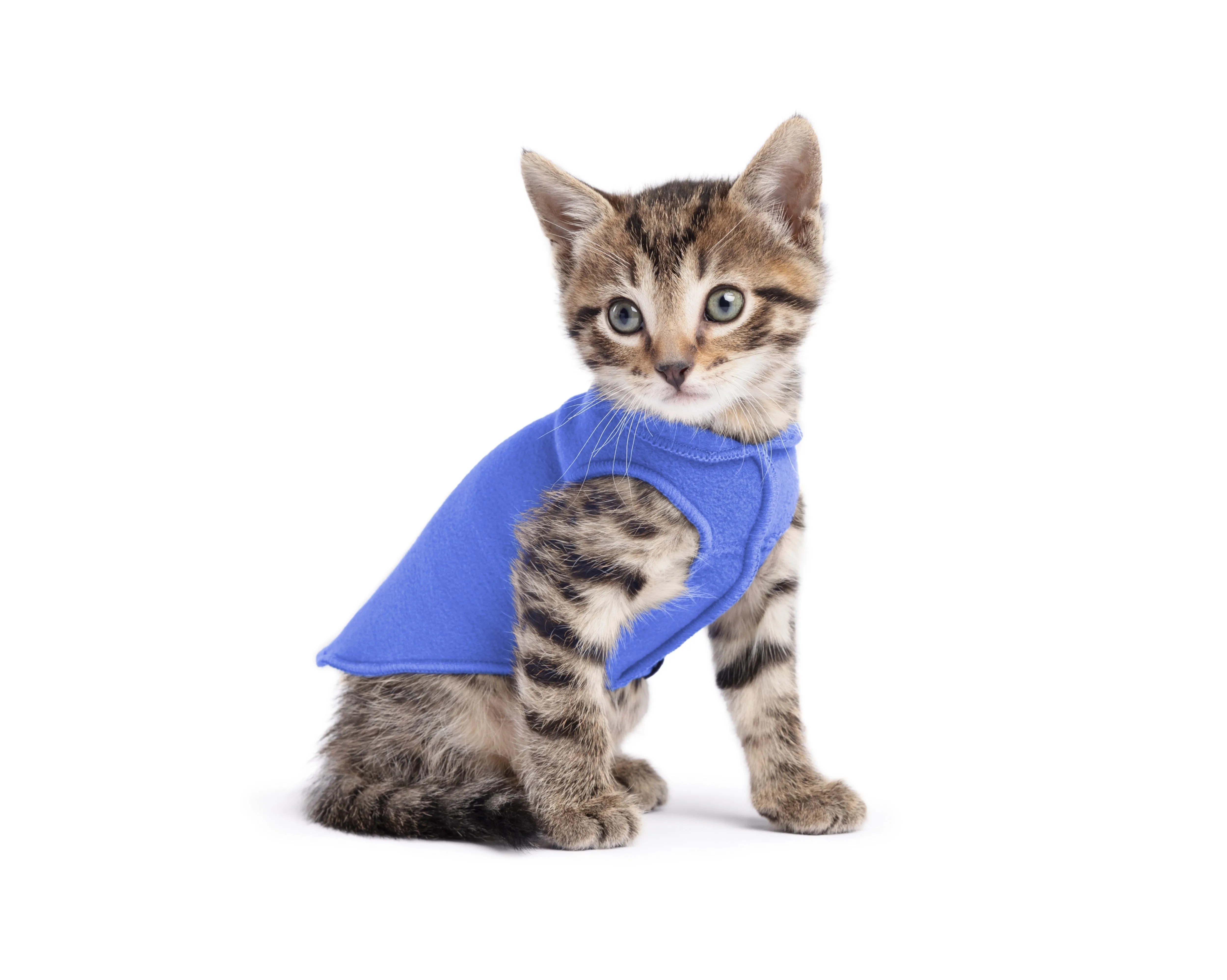 cornflower blue stretch fleece