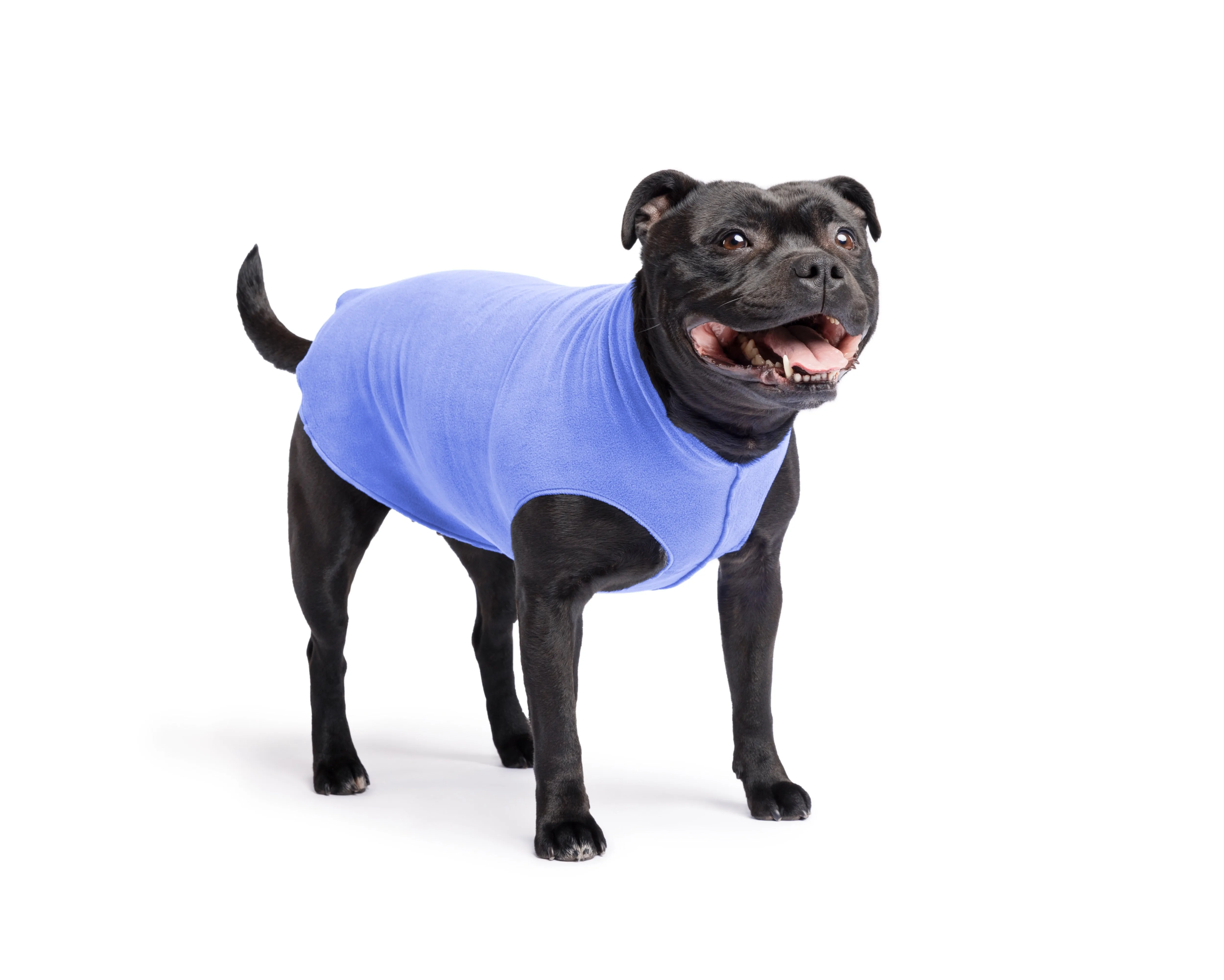 cornflower blue stretch fleece
