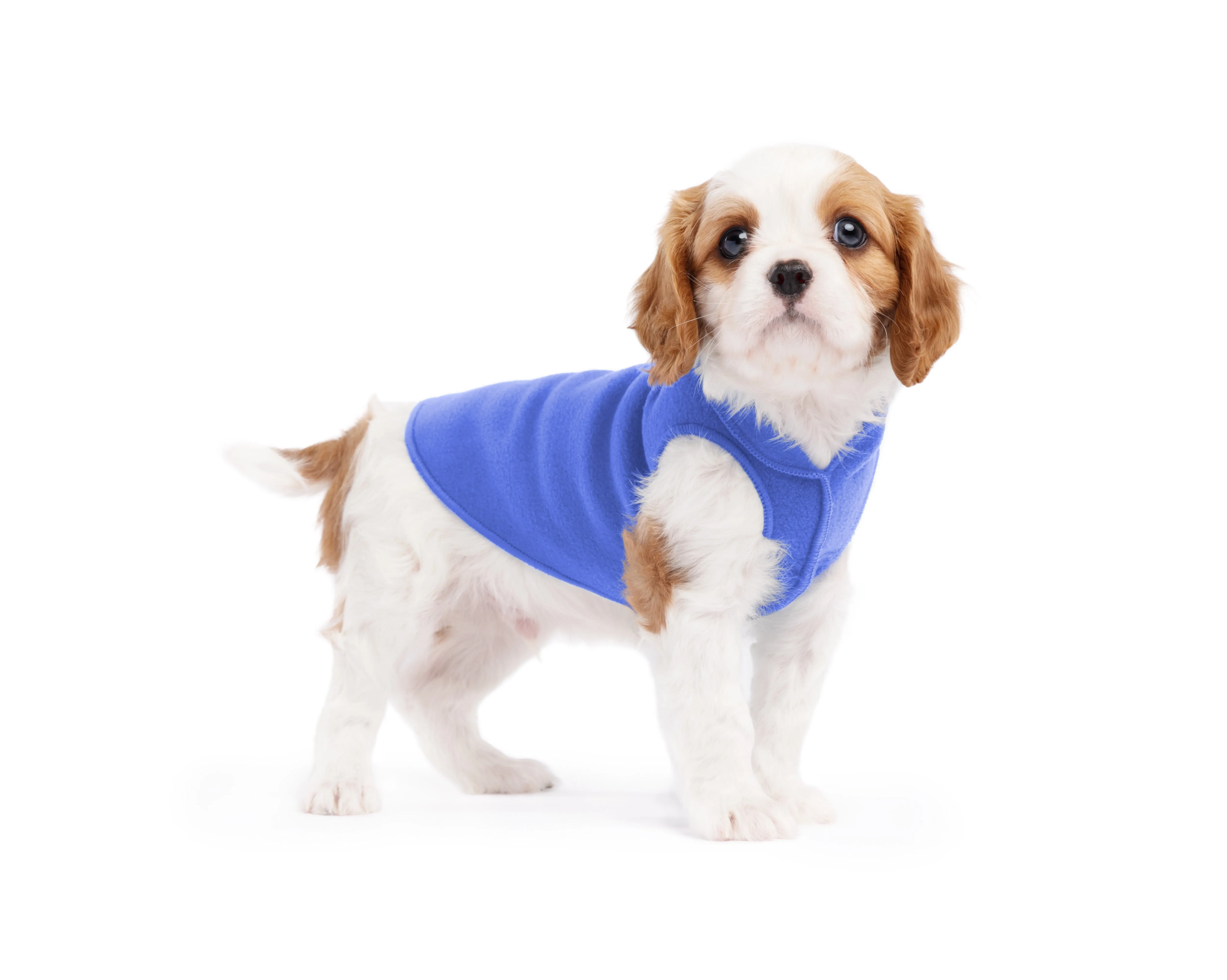 cornflower blue stretch fleece