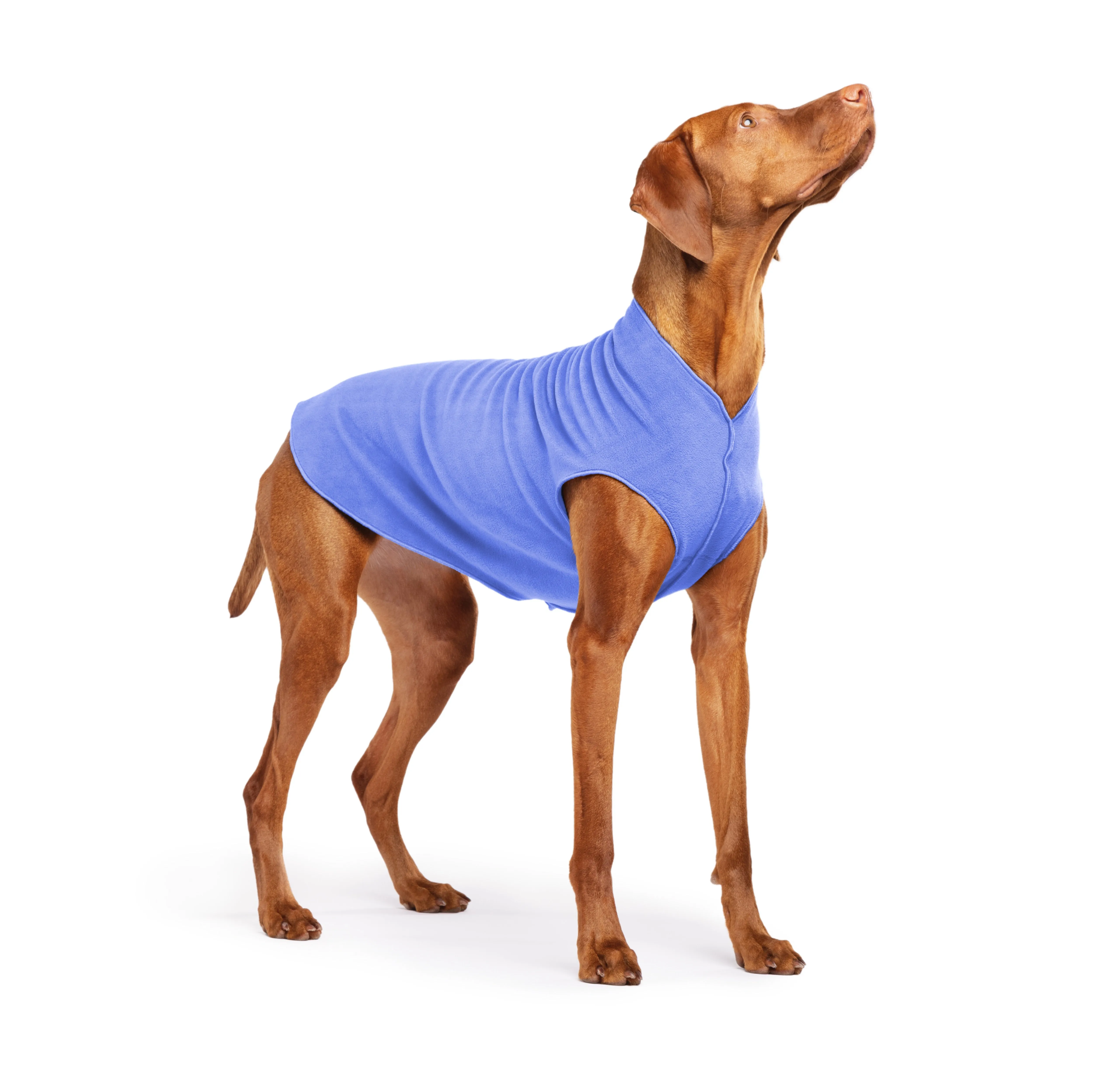cornflower blue stretch fleece