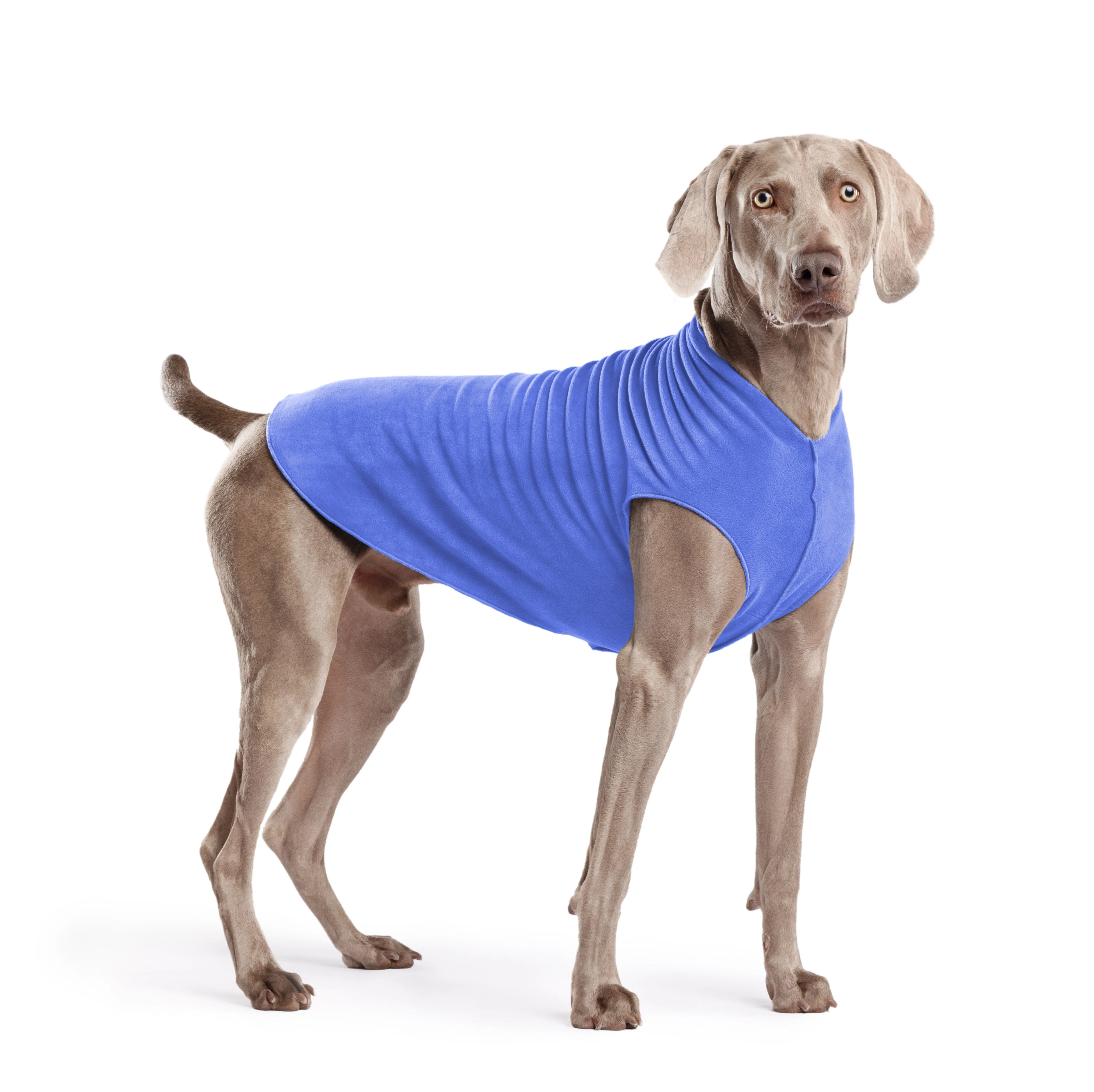 cornflower blue stretch fleece