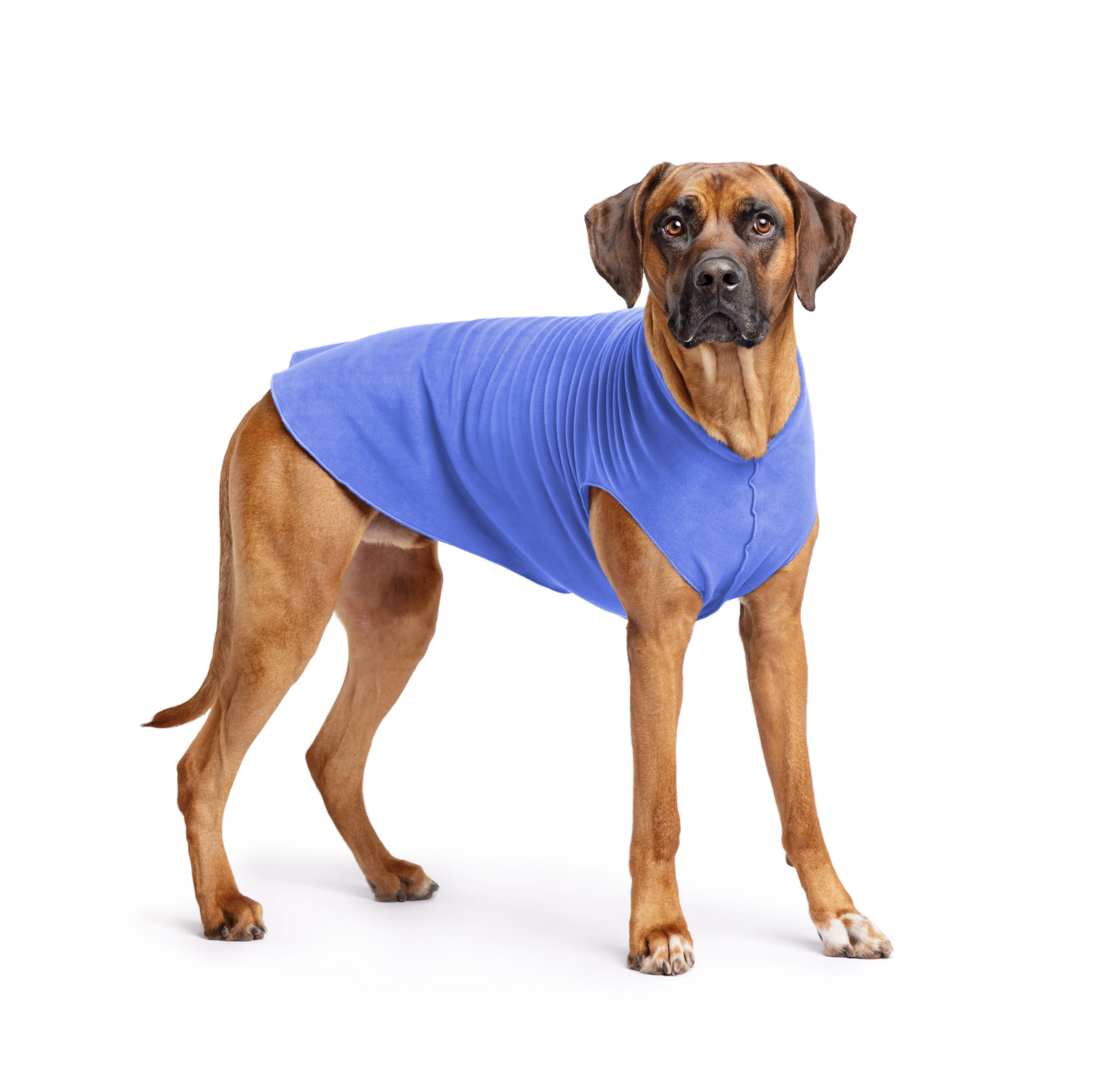 cornflower blue stretch fleece