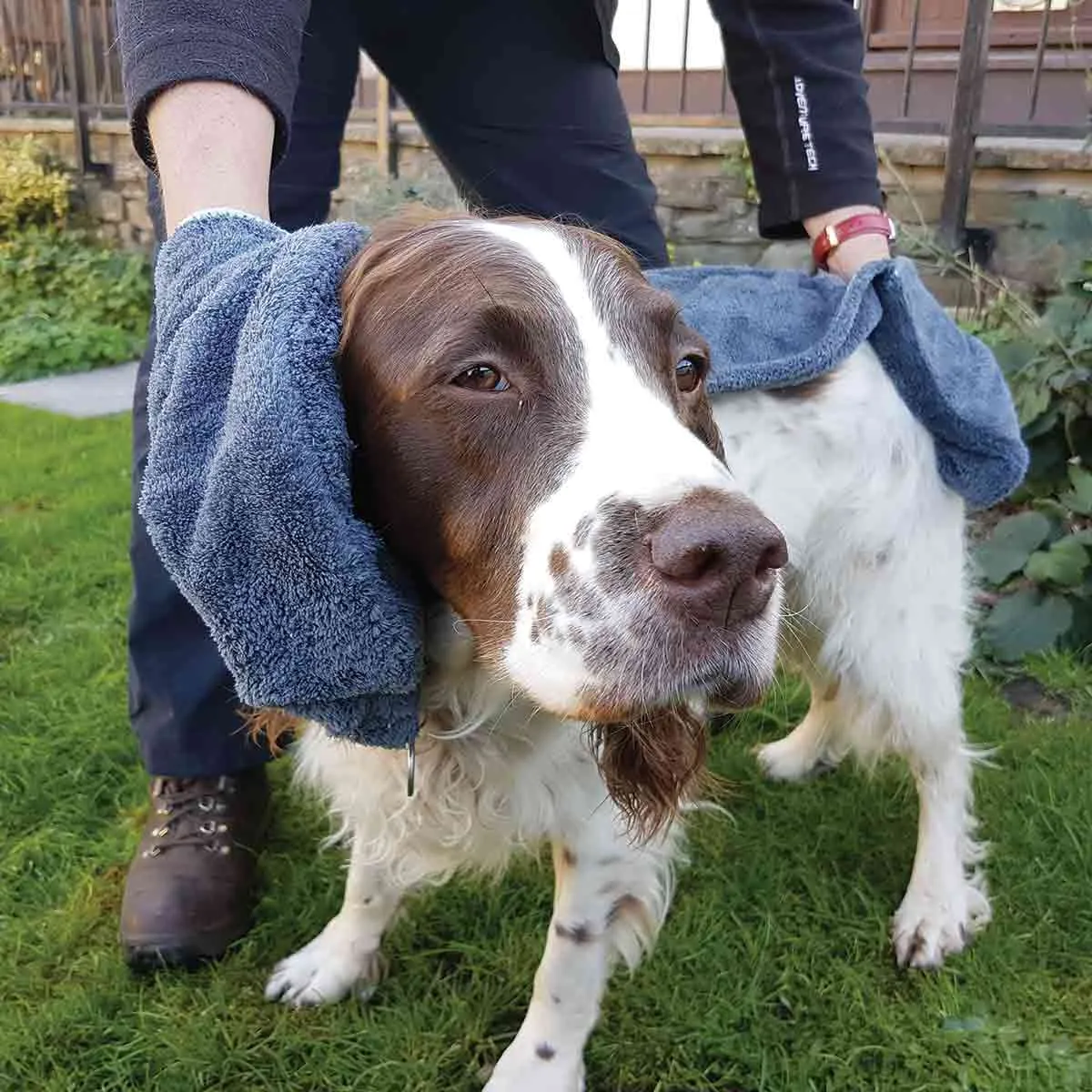 Henry Wag Pet Towel Glove