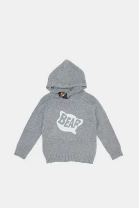 Infant Boys Grey Hooded Pullover