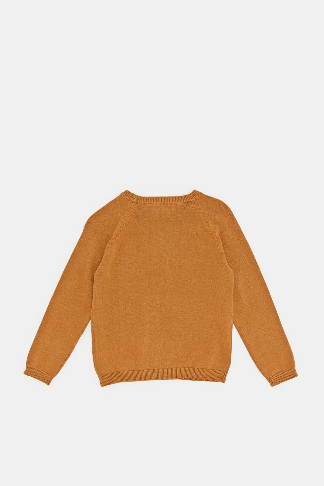Infant Boys Tan Plain Pullover