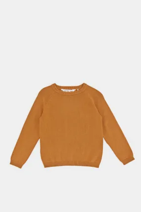 Infant Boys Tan Plain Pullover