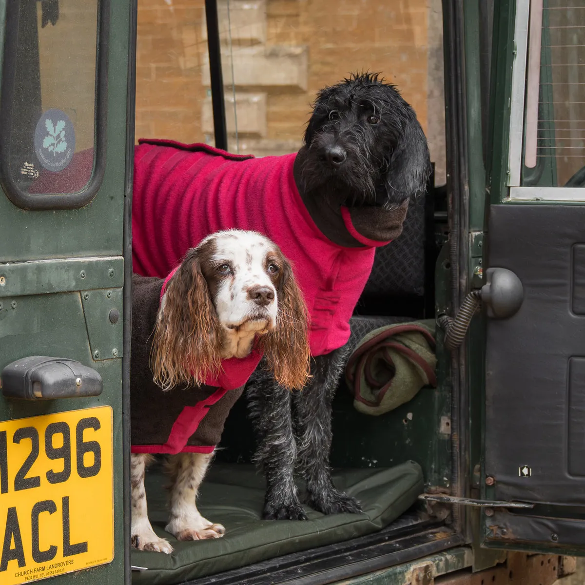 Limited Edition Dog Drying Coat - Raspberry and Dark Chocolate