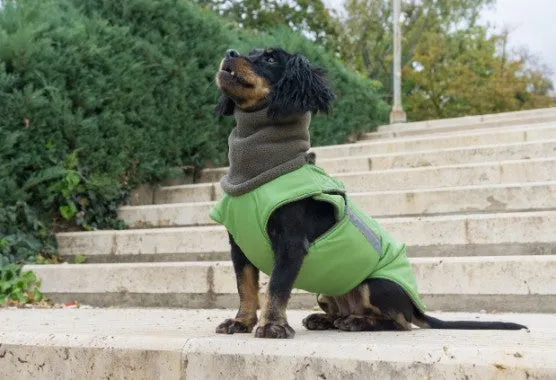 MIXED BREED DOG WINTER DOG COAT   NECK WARMER / MADE TO ORDER
