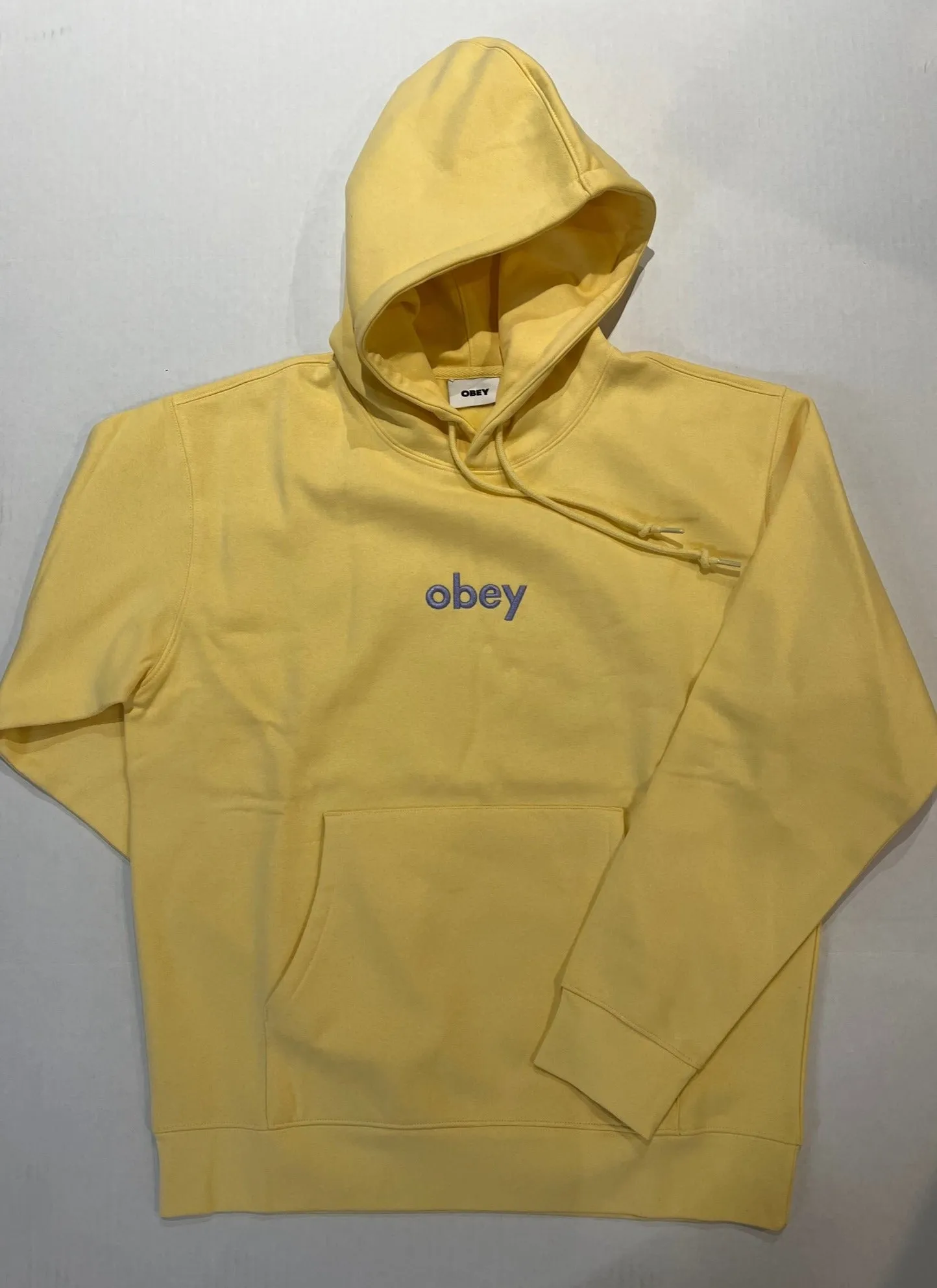 Obey Lowercase Pullover Hoodie