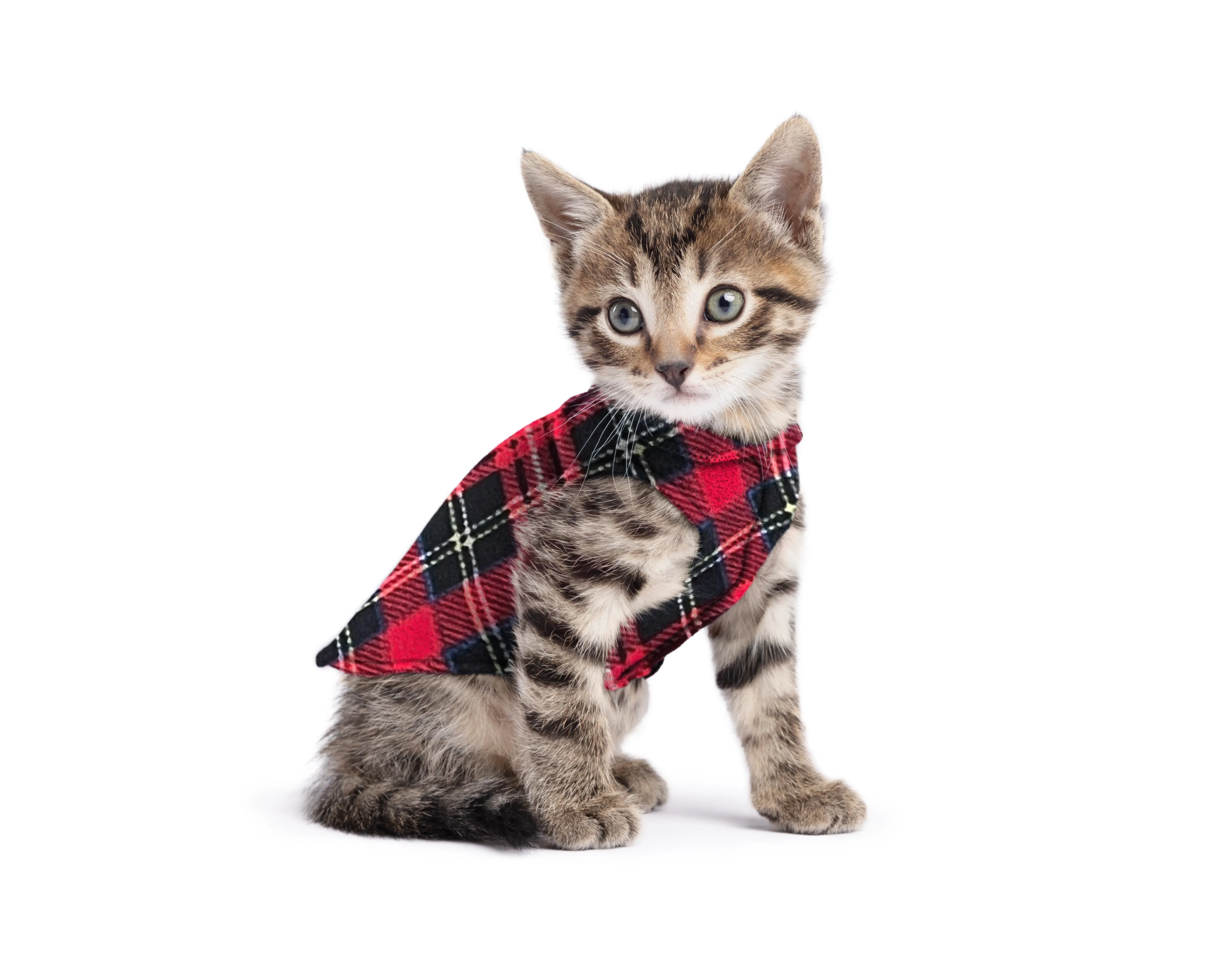 red plaid stretch fleece