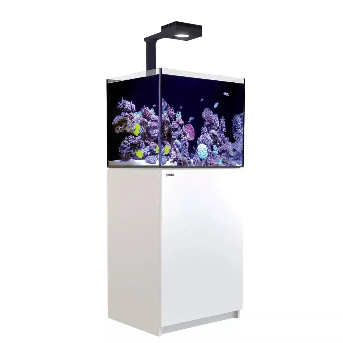 Red Sea Reefer Max 170 G2 