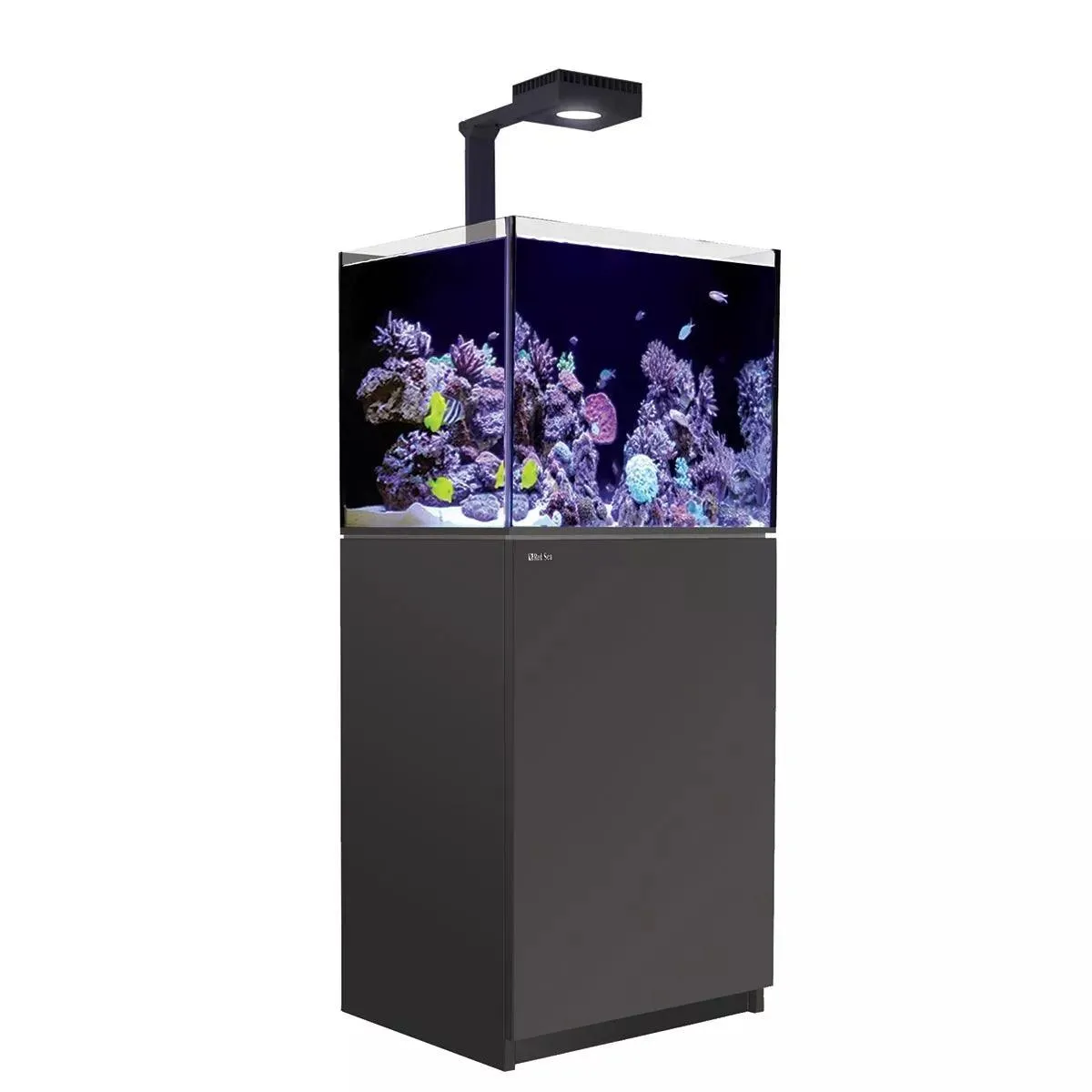 Red Sea Reefer Max 170 G2 