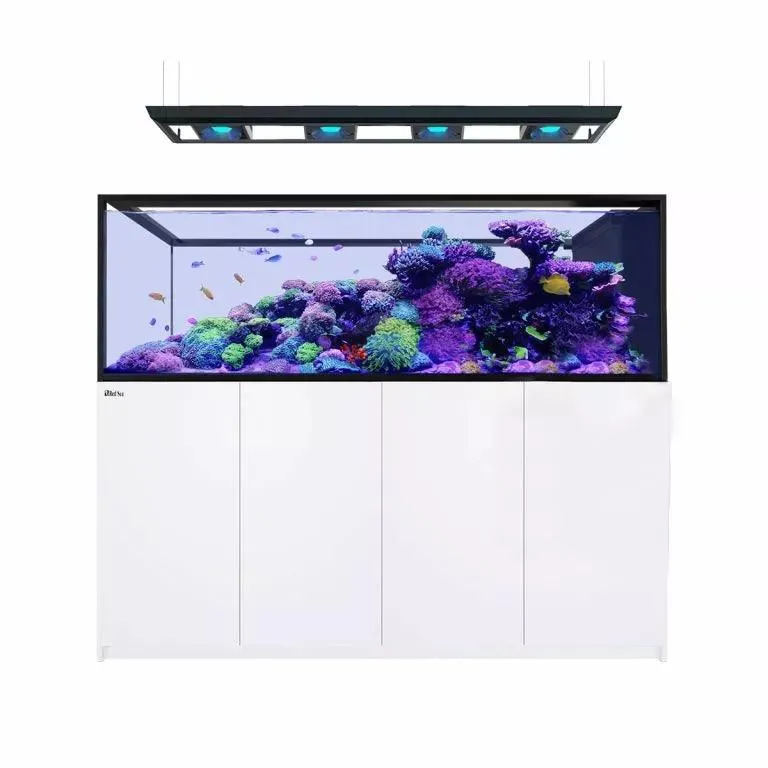 Red Sea Reefer-S Max Peninsula 950 G2 