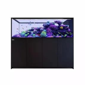 Red Sea Reefer-S Peninsula 950 G2 