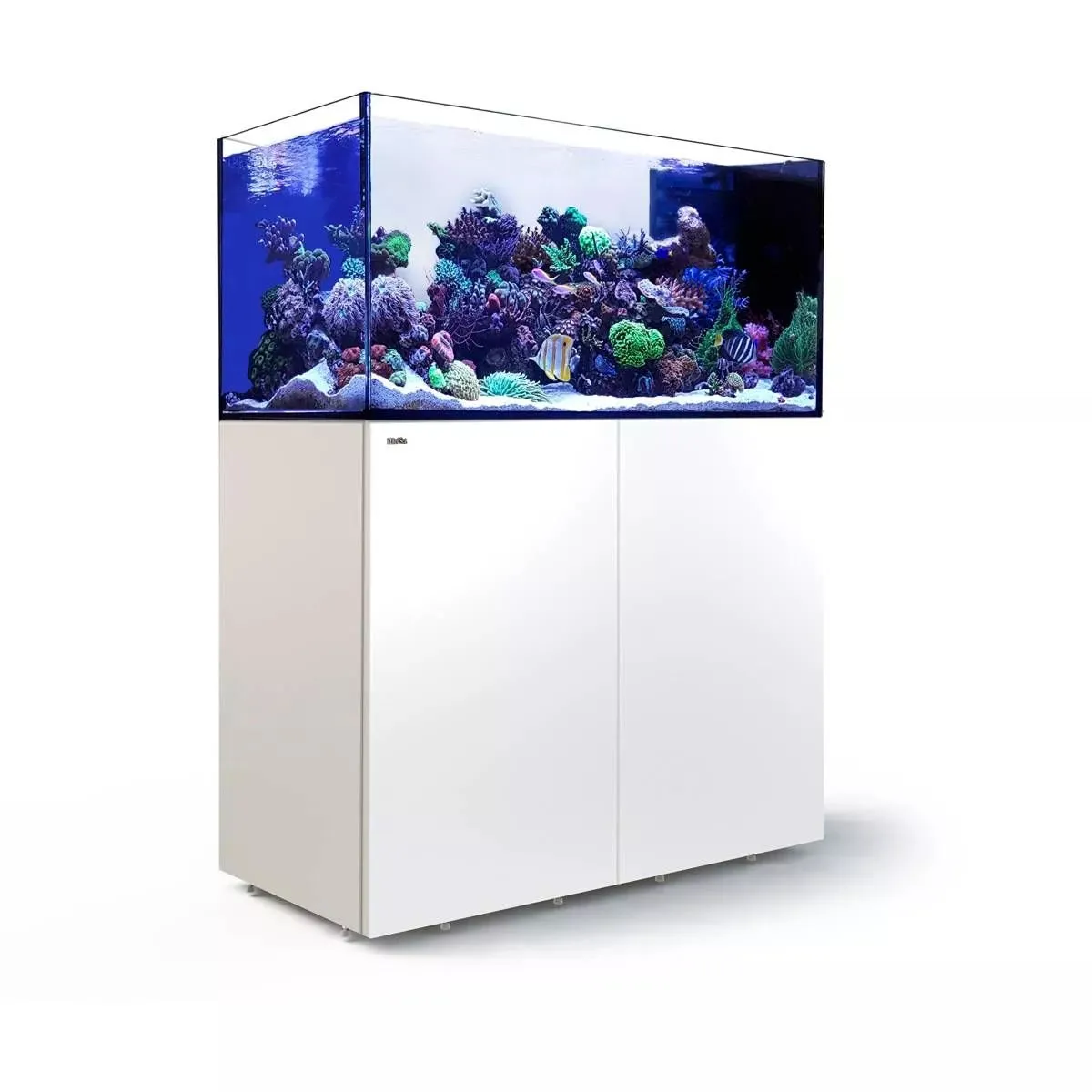 REEFER Peninsula 350 G2  - Red Sea