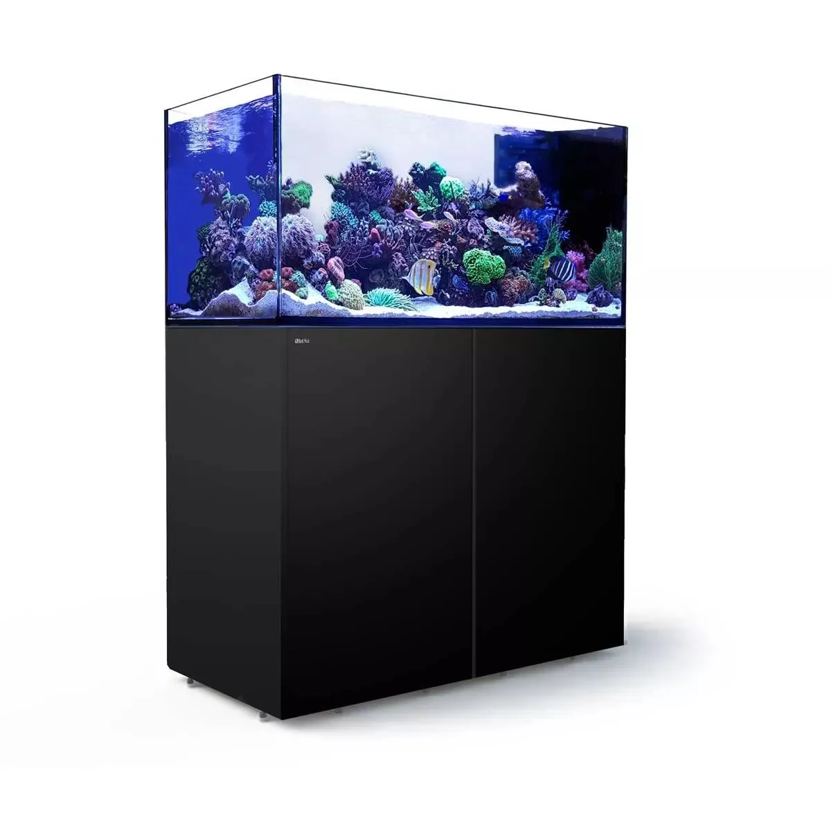 REEFER Peninsula 350 G2  - Red Sea