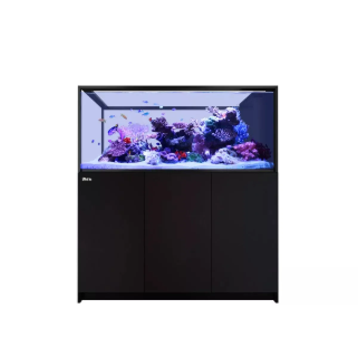 REEFER Peninsula S-700 G2  - Red Sea