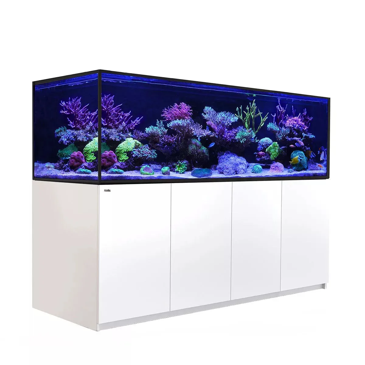 REEFER S-1000 G2  - Red Sea