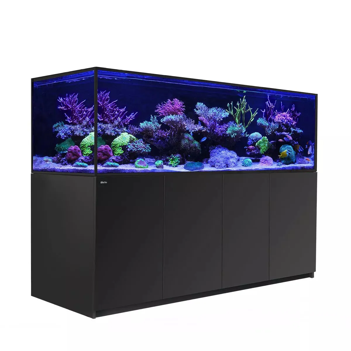REEFER S-1000 G2  - Red Sea