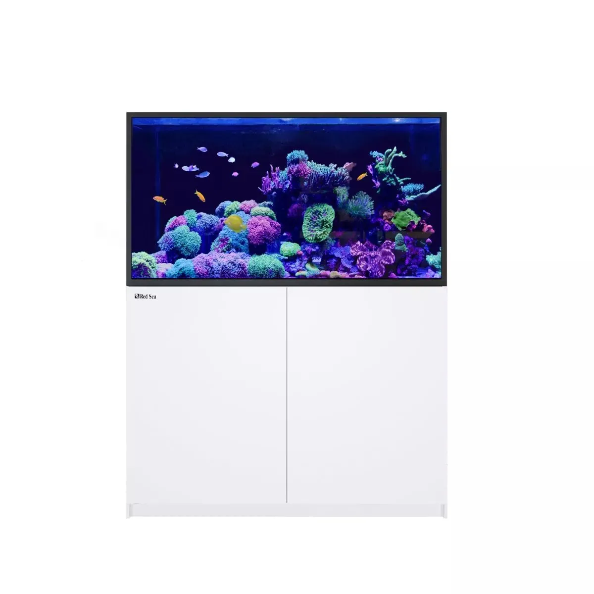 REEFER S-550 G2  - Red Sea