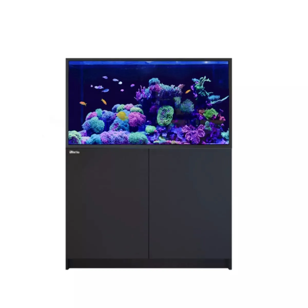 REEFER S-550 G2  - Red Sea