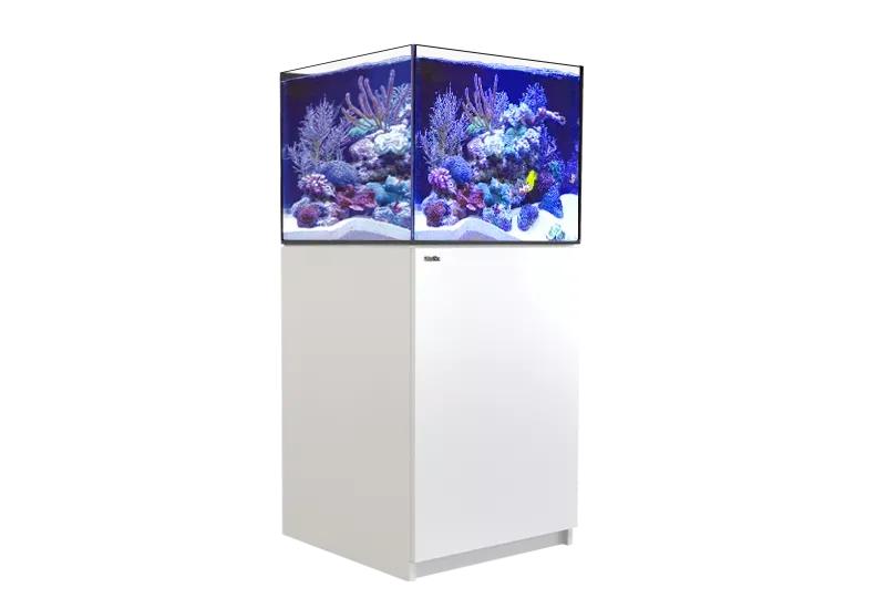 REEFER XL 200 G2  - Red Sea