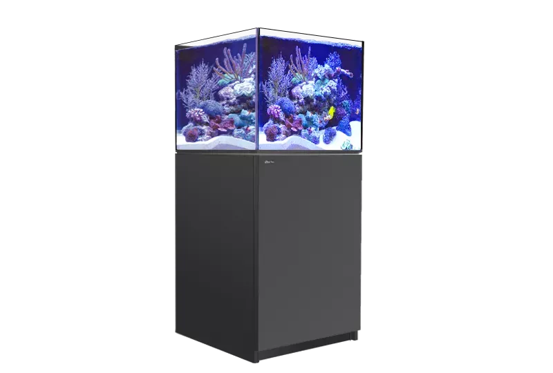 REEFER XL 200 G2  - Red Sea