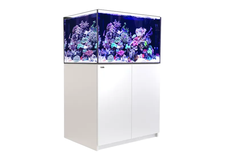 REEFER XL 300 G2  - Red Sea