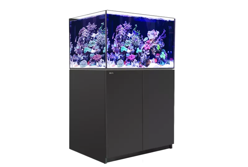 REEFER XL 300 G2  - Red Sea