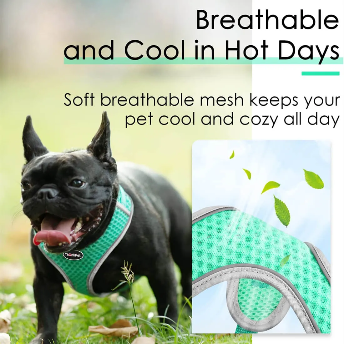 Small Dog Harness - Air Mesh Vest - for Small & Medium Dogs and Cats | ThinkPet