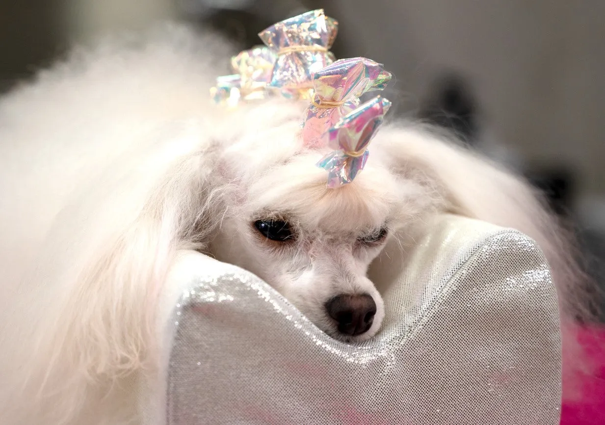 Topknot Cushion- Glitzy White