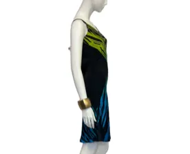 Wasp Bias Dress